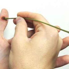 Как вывести бородавку?