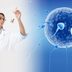 Принцип работы эко центров