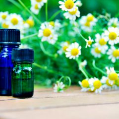 В чём поможет эфирное масло ромашки?