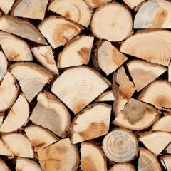 Приготовьте свой камин к зиме: где купить качественные дрова?