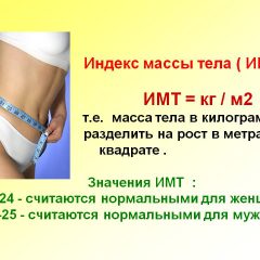 Что такое индекс массы тела?