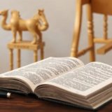 Что почитать по истории и антропологии: книги, с которых стоит начать и на что смотреть дальше