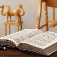 Что почитать по истории и антропологии: книги, с которых стоит начать и на что смотреть дальше
